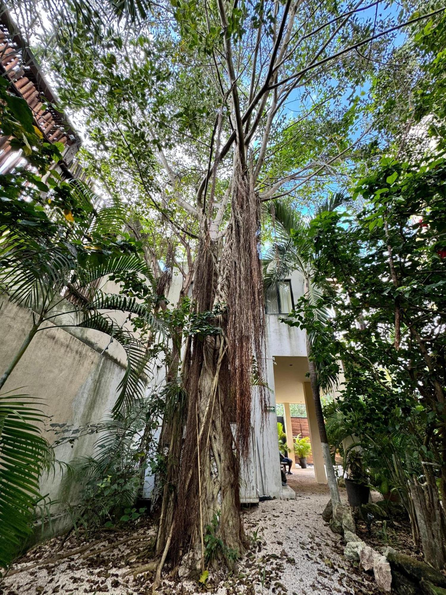 Starfit Hotel Boutique Beachclub, Spa & Gym Included 图卢姆 外观 照片